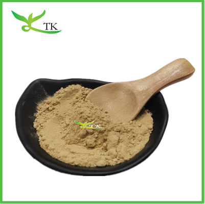Red Vine Wholesale Red Vine Leaf Powder Red Vine Extract