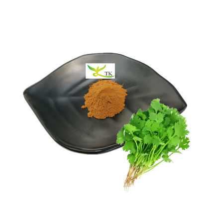 Wholesale Price Bulk Natural Coriander Extract Coriandrum Sativum Extract Cilantro Extract Powder
