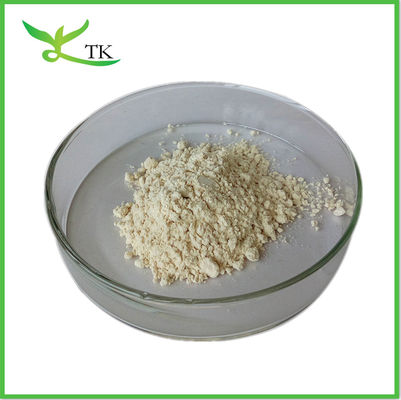 High Quality Sea Cucumber Peptides Powder 90% Sea Cucumber Extract