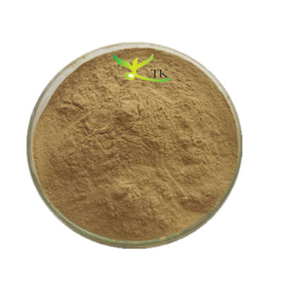 Food Grade 100% Natural 10:1 20:1 Pine Nut Kernel Extract Powder