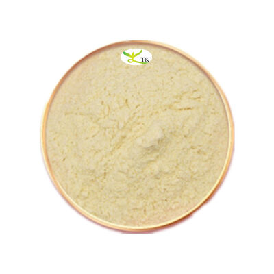 Natural Mango Extract Powder Mangiferin 95% 98% Mangiferin Mango Leaves Extract