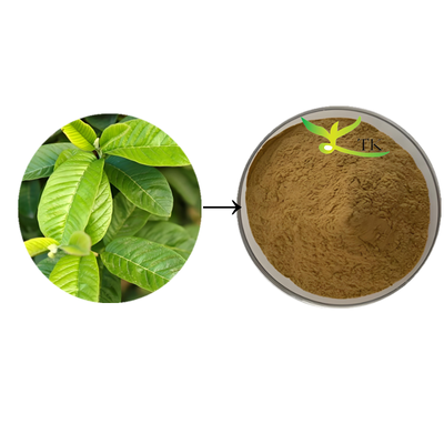 Factory Best Price Supply Top Quality Guava Leaf Extract 40% Polyphenol Powder