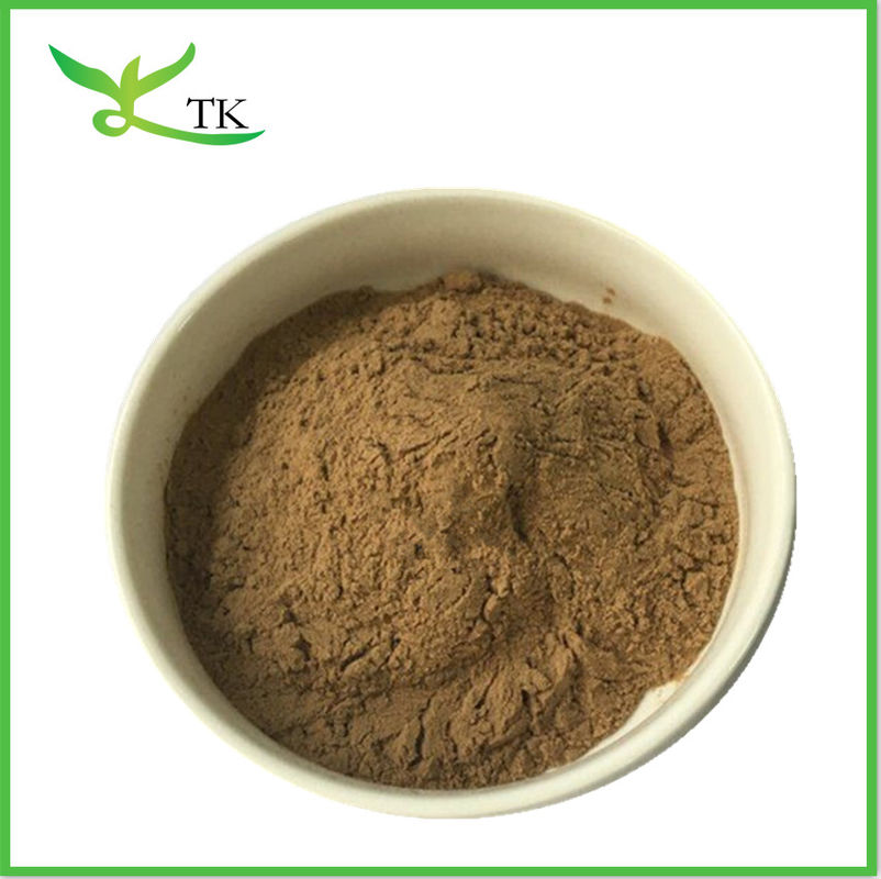 Green Coffee Bean Extract Powder 50% Chlorogenic Acids Powder Green Coffee Powder
