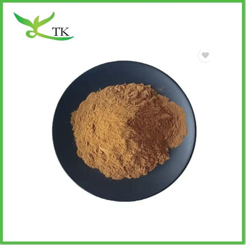 20:1 Natural Cissus Quadrangularis Extract Powder Cissus Quadrangularis Extract Capsules