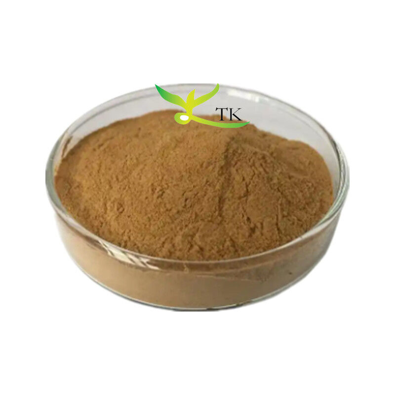 Natural Herbal Extract Terminalia Chebula Extract Powder in Bulk