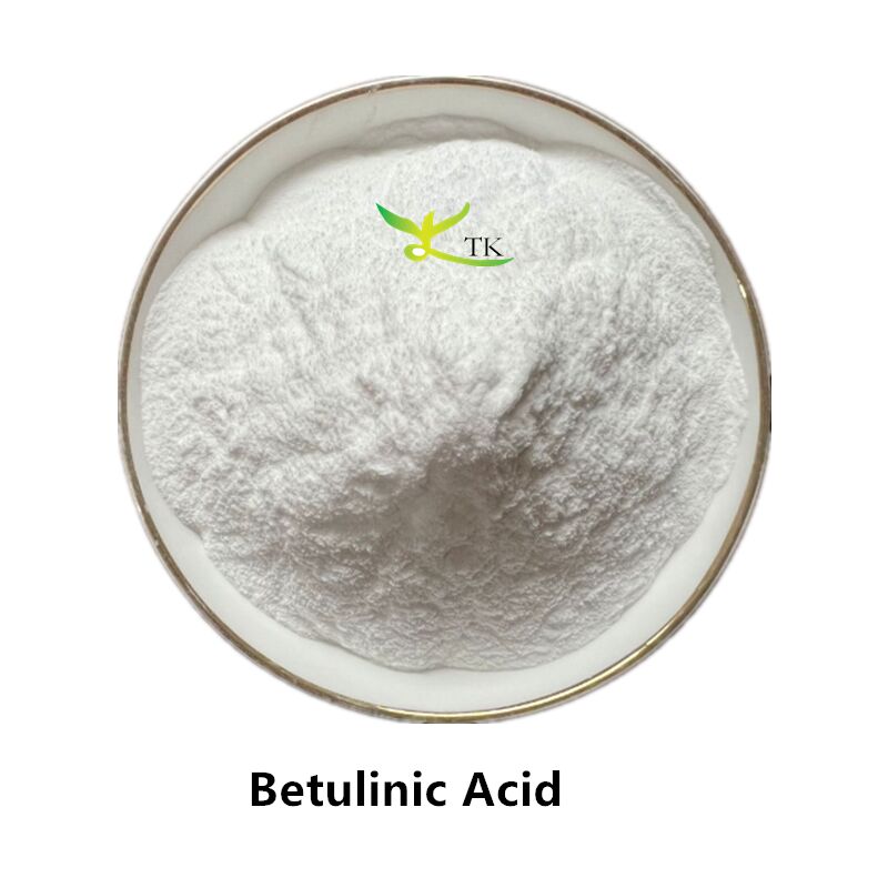 High Quality Birch Bark Extract 98% Betulinic Acid Powder CAS 472-15-1
