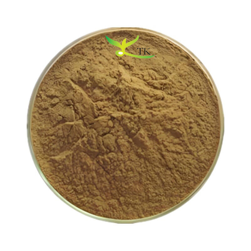 Food Grade Natural Ecklonia Cava Extract Ecklonia Cava Powder for Supplement