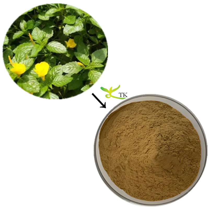Top Quality Damiana Extract Powder 20:1 Damiana Powder Extract Capsules