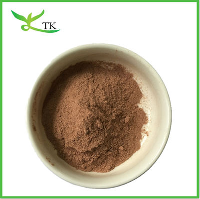 الصفيحة المكسورة من الفطر الحمراء Ganoderma Lucidum Reishi