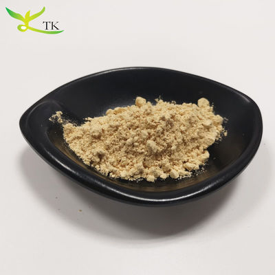 المواد الغذائية الخارقة الرعاية الصحية Hericium Erinaceus Extract Lion's Mane Mushroom Powder