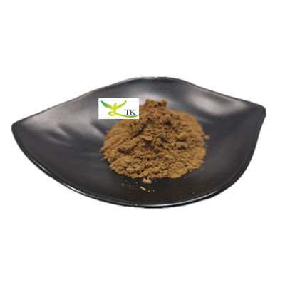 مستخلص الفطر الطبيعي البوليساكاريد 20% مستخلص الفطر تشاجا مسحوق