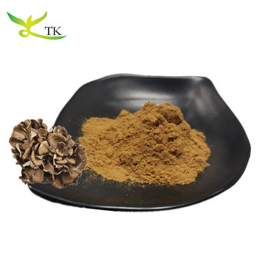 بيع بالجملة المكملات الغذائية الطبيعية المكونة من الفطر بنسبة 100 ٪ Grifola Frondosa Extract Powder
