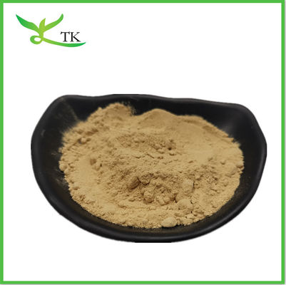 المفروم البيضاء الزرقة Polysaccharide Agaricus Bisporus المفروم استخراج مسحوق