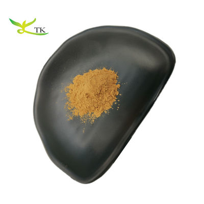 مستخلص نباتي طبيعي من Schisandra Chinensis مستخلص مسحوق مستخلص توت Schisandra Berry