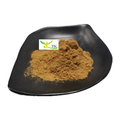 مستخلص الفطر الطبيعي 100% مسحوق Pleurotus Ostreatus Extract