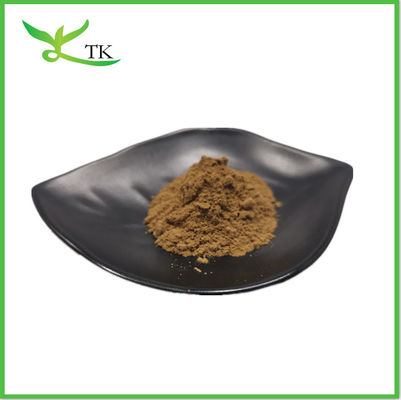 المكملات الغذائية Cistanche Tubulosa Extract Powder 50% Echinacoside + 10% Verbascoside