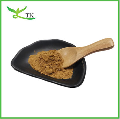 Cordyceps Sinensis 40 ٪ السكريات الحمض الكورديسيبيك Cordyceps Sinensis Extract