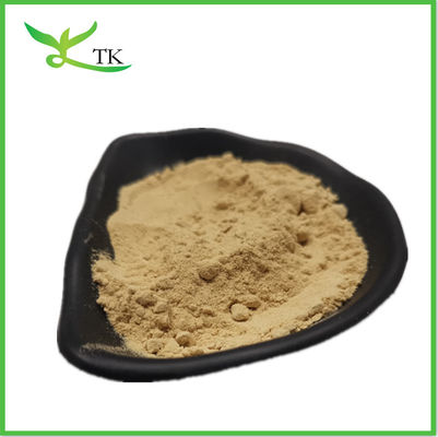 الصحة استخراج الكورياندروم Coriandrum Sativum استخراج الكوريانترول استخراج الكورياندر مسحوق