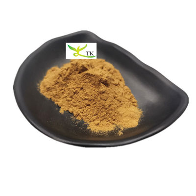 مكملات الأعشاب الطبيعية Panax Quinquefolius استخراج مسحوق 10:1 20:1 استخراج الجينسنغ الأمريكي مسحوق
