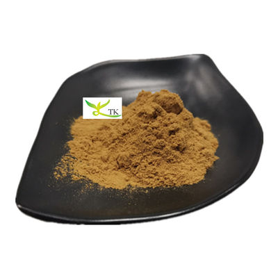 الطبيعي YU XING CAO Houttuynia Cordata استخراج مسحوق Heartleaf Houttuynia Herb Extract P.E.