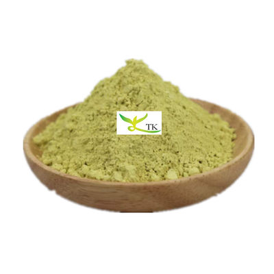 أفضل نوعية مستخلص نباتي طبيعي Sophora Japonica مستخلص Kaempferol 98% Kaempferol السعر بالجملة