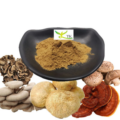 العلامة التجارية الخاصة ديك رومي ذيل شاجا الكورديسب الفطر القهوة قشرة الأسد الفطر مسحوق القهوة