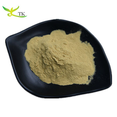 100% طبيعي جذر جمجمة البايكال استخراج Scutellaria Baicalensis استخراج مسحوق بايكالين
