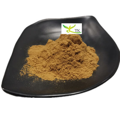 مستخلص جذور الأعشاب الصينية التقليدية النقي من Angelica Sinensis مسحوق Ligustilide 1%