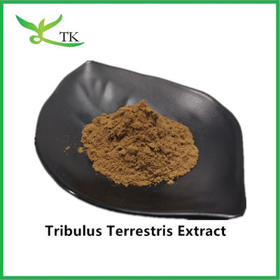 بيع بالجملة أفضل سعر 100٪ الطبيعي Tribulus Terrestris استخراج مسحوق سابونين 40٪
