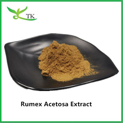 السعر بالجملة مستخلص من الأعشاب الطبيعية بنسبة 100% Rumex Acetosa L. مستخلص مسحوق