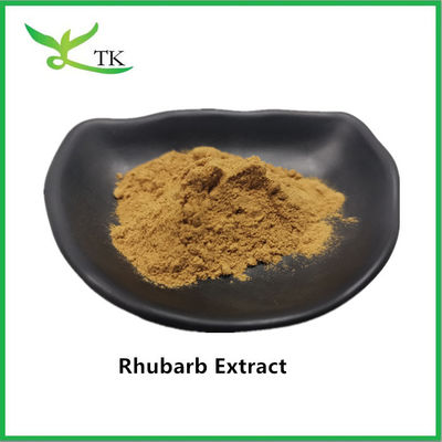 مستخلص الحبار الطبيعي مستخلص جذور الحبار مسحوق Rheum Palmatum