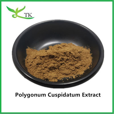 مستخلص نباتي طبيعي نقي من النبتة العملاقة Polygonum Cuspidatum مستخلص 20% ريسفيراترول