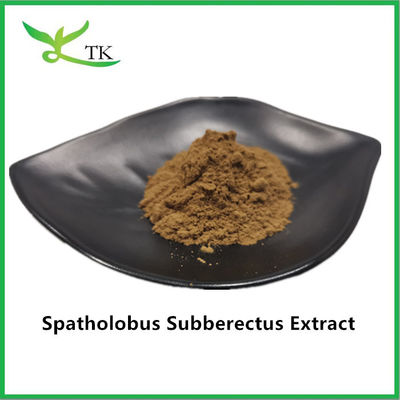 مستخلص Caulis Spatholobi الطبيعي بنسبة 100% مسحوق مستخلص Spatholobus Suberectus