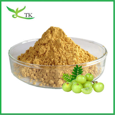 أفضل سعر الصف الغذائي مستخلص العجوف الهندي مسحوق مستخلص الفاكهة أملا