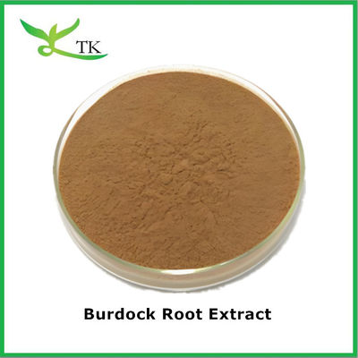 المكملات العشبية Arctium Lappa استخراج البردوك استخراج مسحوق محلول في الماء