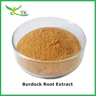 مسحوق الأعشاب النباتية الطبيعية استخراج جذر الـ Arctium Lappa