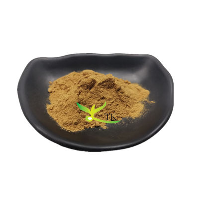 الصف الغذائي الطبيعي 100٪ Salsola Collina استخراج Salsola Collina