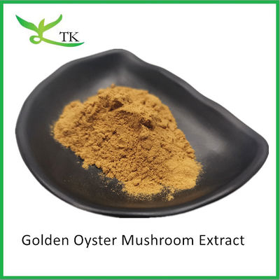 مكملات الفطر الطبيعية Pleurotus Citrinopileatus مستحضرات الفطر من المحار الذهبي