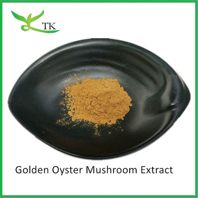 البوليساكاريدات الطبيعية من الفطر Pleurotus Citrinopileatus استخراج مسحوق Citrine Pleurotus استخراج