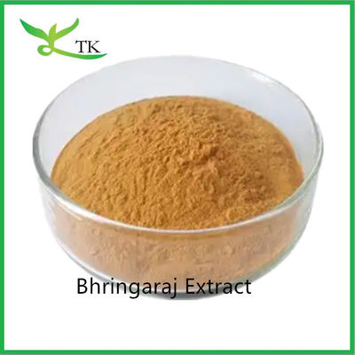 100% العناية الطبيعية بالشعر Bhringaraj Extract Eclipta Alba Extract Powder ملك الشعر
