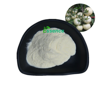 مسحوق مستخلص الطماطم البيضاء من الدرجة الغذائية الطبيعية Solanum Lycopersicum بنسبة 10:1 20:1