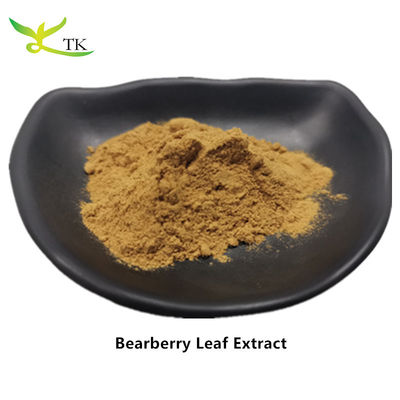 مستخلص نباتي طبيعي مستخلص أوراق توت الدب Arctostaphylos Uva Ursi مستخلص أوراق الدب مسحوق