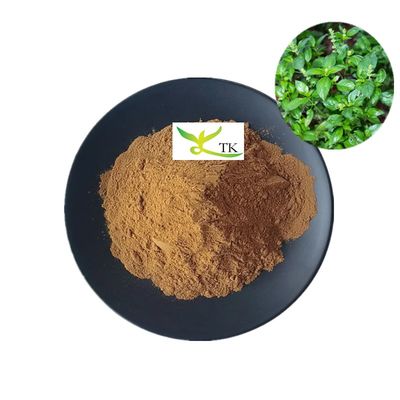 مستخلص طبيعي من عشبة الكاليميج (أندروغرافيس باناتا) مسحوق
