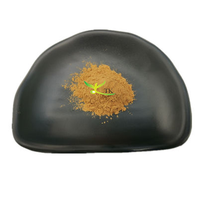 الفطر الطبيعي الرعاية الصحية Agaricus Blazei استخراج مسحوق Agaricus Blazei استخراج الفطر مسحوق