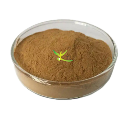 مستخلص ليزيماكيا كريستينا الطبيعي مسحوق 10: 1 مستخلص ليزيماكيا كريستينا هانس مسحوق