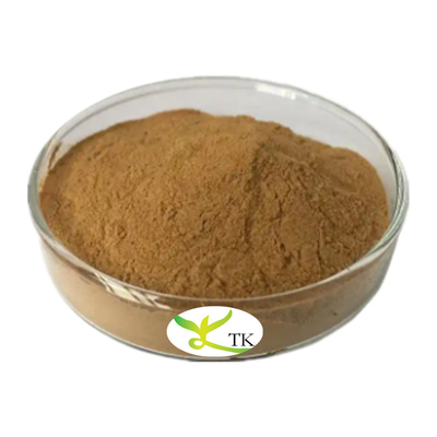 إمدادات تونكينغ الطبيعية الصينية العشب التقليدي استخراج جذور إيساتيس إيساتيس تينكتوريا استخراج مسحوق