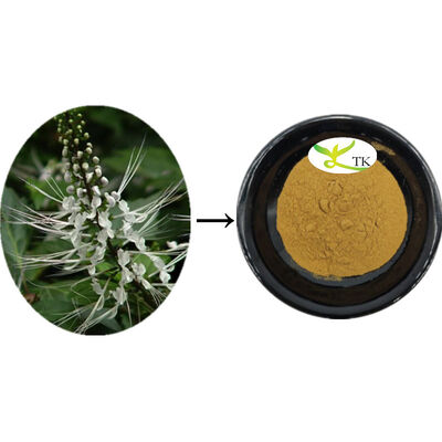 أورتوسيبون الطبيعي أريستاتوس استخراج أورتوسيبون أوراق استخراج مسحوق تنظيف الحسابات