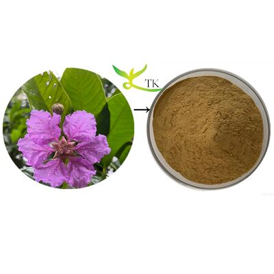 مستخلص نبات طبيعي من أوراق البانابا (Lagerstroemia Speciosa) - مستخلص أوراق البانابا - مسحوق حمض الكوروسوليك