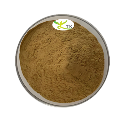 العشب الصيني Andrographis Paniculata استخراج Andrographolide 20% 98% CAS 5508-58-7 أندروغرافوليد