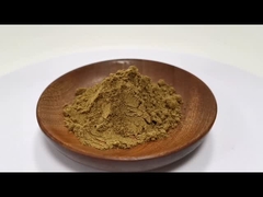 السعر بالجملة مسحوق استخراج النبات الطبيعي 5% الفلافونويدات مسحوق استخراج العصيدة